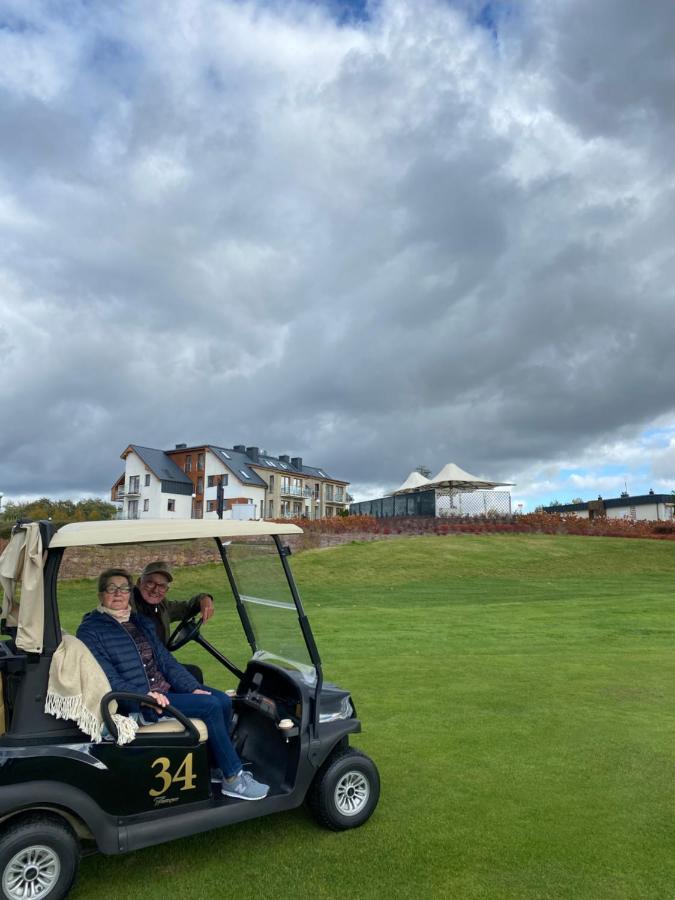 Sgigolf No3 No2